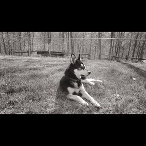 Meet your Posher, Erin